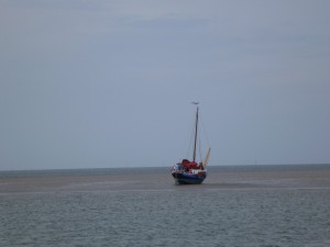 P1020229