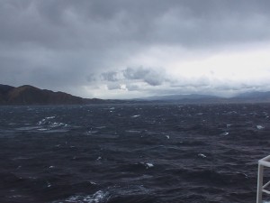 IMGA0509